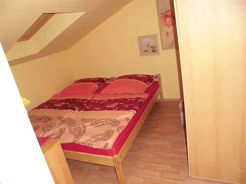 Pension Sxf Berlin Guest house Schoenefeld